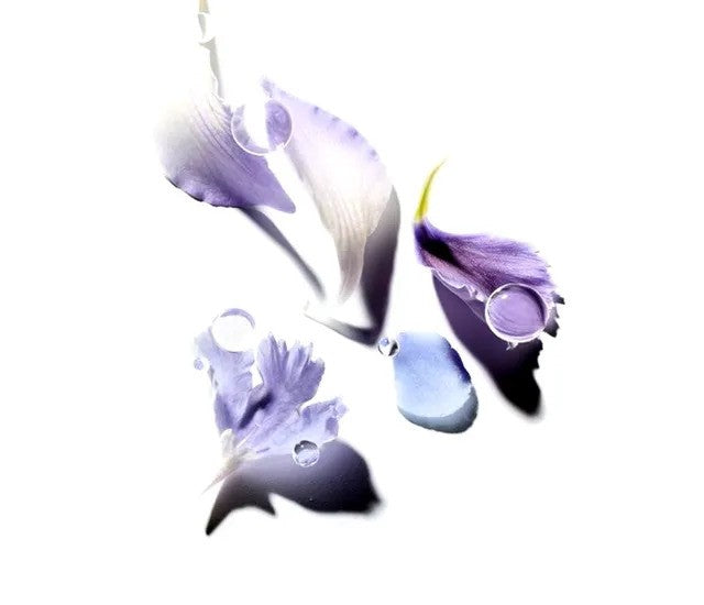 Blog 5 a-